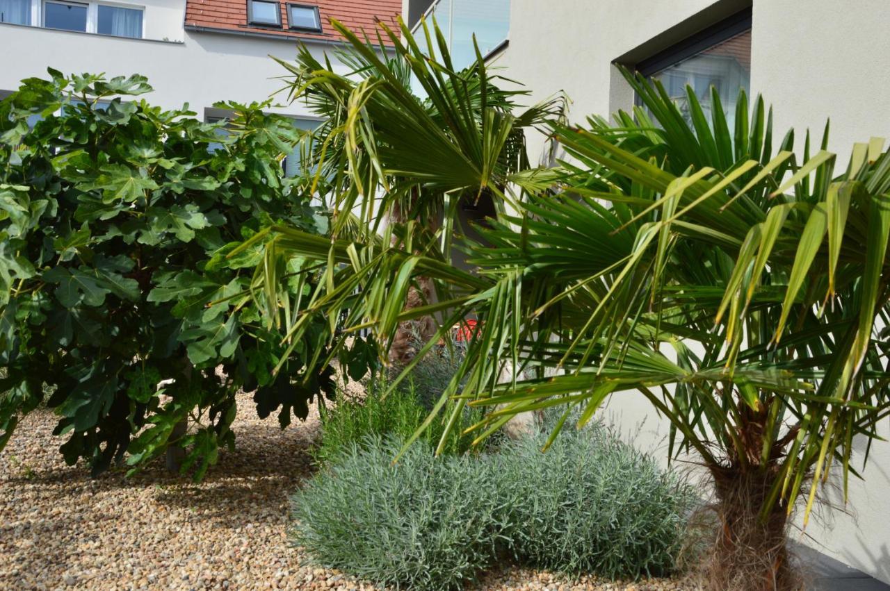 Palm Garden Apartment 1 Mikulov Exterior foto